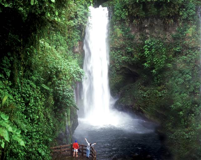 http://www.waterfallgardens.com/gallery/waterfall-gardens/13.jpg